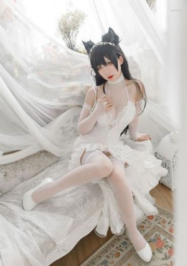 摄影部动漫免费观看动漫_剧情片高清迅雷在线观看